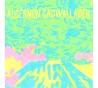 ALGERNON CADWALLADER - TRYING NOT TO HAVE A THOUGHT