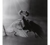 Alghazanth - The Three-Faced Pilgrim [Import] [Vinilo]