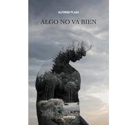 Algo no va bien
