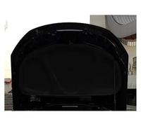 Algodón Insonorizado Motor 1 unidad PET para VW para Passat para B5 2000-2008, cubierta insonorizada algodón aislamiento térmico acústico para capó coche