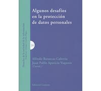 Algunos desafíos en la protección de datos personales