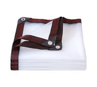 ALI2 Lona Transparente Exterior, Lona Protectora Exterior Transparente con Ojales, Lona Impermeable con Cuerda de 6 m (1 x 3 m)