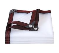 ALI2 Lona Transparente Exterior, Lona Protectora Exterior Transparente con Ojales, Lona Impermeable con Cuerda de 6 m (2 x 2 m)