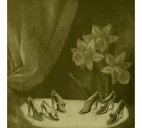 Alice Cohen - Into The Grey Salons [Vinilo]