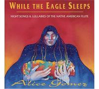 Alice Gomez - While the Eagle Sleeps