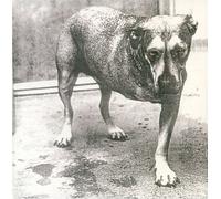 Alice in Chains Alice in Chains (30th Anniversary) (Vinyl) (PRESALE 30/01/2026)