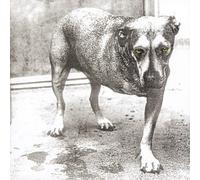 Alice In Chains Alice In Chains (CD) (Importación USA)