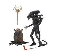Alien 1979 Statua Alien Ultimate 40° Anniversario Big Chap Figura 23cm Neca