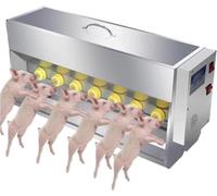 Alimentador Automático para Lechones con Control De Temperatura Y Agitación, 15l/20l, De Acero Inoxidable, para Granjas Porcinas.