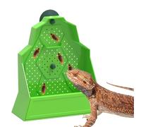 Alimentador de dragón barbudo, plato de alimentación antiescape para reptiles montado en la pared, altura ajustable con ventosa para lagarto, dragón barbudo, rana geco
