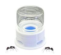 Alimentador líquido para hormigas Transparente, con diseño antiahogamiento