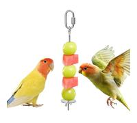 Alimentador para brochetas para loros - Brochetas de frutas Toys | para jaulas porta alimentos, comedero para palitos de verduras para pinzones de acero inoxidable, puerta