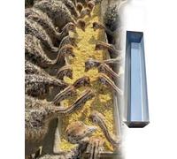 Alimentador y bebedero de acero galvanizado resistente, bandeja de alimentación de gran capacidad para pollo, cerdo, caballo, oveja y ganado