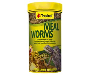 Alimento complementario natural para reptiles Mealworms - Tropical - Cantidad: 100 ml