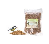Alimento para Aves Silvestres - Gusanos de la harina Flamingo - 300 g - Ricos en proteínas - para comedero Exterior