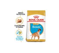 Alimento para cachorros Royal Canin Dog Boxer | 12 kg