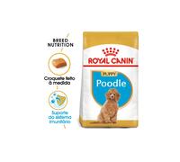 Royal Canin Poodle Puppy pienso para cachorro caniche - Saco de 3 Kg