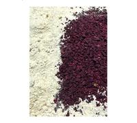 Alimento para caracoles con remolacha roja, 150 g, mezcla de caracoles y cal con sustancias naturales para la construcción de las conchas de caracoles