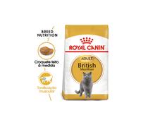 Alimento para gatos adultos Royal Canin Cat British Shorthair | 2 kg