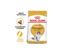 Royal Canin Gato Norwegian Forest 10 Kg