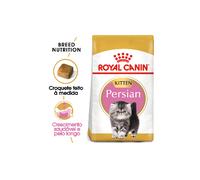 Royal Canin Gato Kitten Persian 10 Kg