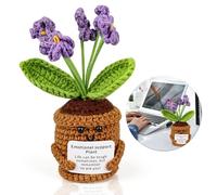 Alimento para los nervios de corazón, regalo de flores, planta de peluche, buena recuperación, regalos púrpuras, no me olvides de regalo, animar la separación, amistad, más buena suerte, regalos