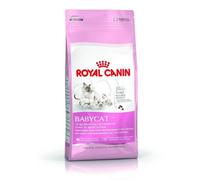 Alimento para madre y gato bebé Royal Canin (4 kg)