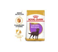 Alimento para perros adultos esterilizados Royal Canin Dog Labrador Retriever | 12 kg