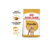 Alimento para perros adultos Royal Canin Dog Caniche | 1,5 kg