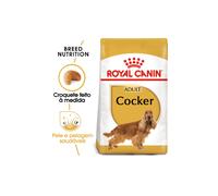Alimento para perros adultos Royal Canin Dog Cocker Spaniel | 12 kg