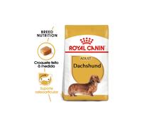 Alimento para perros adultos Royal Canin Dog Dachshund | 1,5 kg