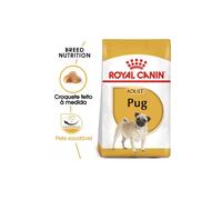 Alimento para perros adultos Royal Canin Dog Pug | 1,5 kg