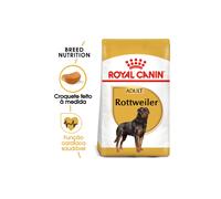 Alimento para perros adultos Royal Canin Dog Rottweiler | 12 kg