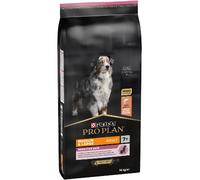 Pro Plan Medium & Large Adult 7+ Sensitive OptiDerma salmón - 14 kg