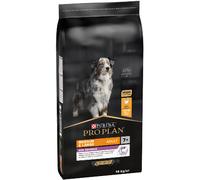 Medium & Large Adult 7+ 14 Kg - Perro