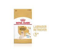 Alimento para perros Royal Canin Dog Labrador Ageing 5+ | 12 kg