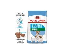 Royal Canin Starter Mother & Babydog Mini - Pienso seco para cachorro recién nacido y perra gestante/lactante de tamaño pequeñ - Cantidad: 4 kg