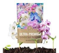 Alimento para Plantas,Fertilizante Vegetal en Polvo | Estimulador de Raíces Fortalecedor de Floración Cuidado Jardinería para Vegetales Flores Césped Exterior Patio Crecimiento Vigoroso