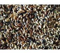 Alimento profesional para canarios 10 kg mezcla natural con gránulos VAM rico en vitaminas, aminoácidos y minerales - Alimentación completa para el traje, el canto y la reproducción - Fabricado en