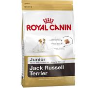 Alimento Royal Canin Shn Breed Jack Russ Jun (3 Kg)