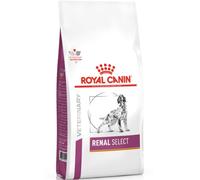 Royal Canin VET Renal Select - Pienso para perros adultos con enfermedad renal - Cantidad: 2 kg
