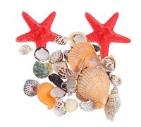 Alipis 1 Juego Conchas Naturales Decoración Decoraciones Junto Al Mar Conchas Marinas Naturales Acuario Artesanía Concha De Mar Decoraciones De Peceras Conchas para Manualidades Caparazón