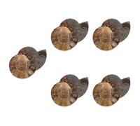 Alipis 5 Series Colgante De Fósil De Concha Espécimen Educativo De Amonita Modelos De Amonita Joyas De Niña Adorno De Modelos Fósil De Caracola Natural Marrón Oscuro 2 Piezas X 5