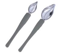 Alipis Cuchara para Salsa de Acero Inoxidable Anti-rust y Portátil, 2 Piezas para Adorno de Café y Emplatado de Comida Occidental