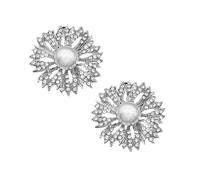 Alipis Hebillas Decorativas para Zapatos de Niña en Aleación Plata, Fáciles de Quitar, Elegantes Fotos Calle o Actuaciones, 1 Par