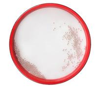Alipis Instrumento de Percusión de Mano Color Rojo Ligero Arena de Hierro y Madera para Desarrollo la Percepción del Ritmo y Educación Musical para Niños