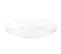 Alipis Lente Fresnel para Proyector, Lente Óptica de Fresnel de Acrílico Pmma, Longitud Focal 120mm, Alta Transmisión, para Experimento Óptico y Educación Científica