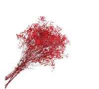 Alipis Ramo de Flores Preservadas Flor Seca Decorativa Hogar de Gypsophila Roja Pieza Ornamental Que No se Marchita, Obsequio Original para Ocasiones Obsequios