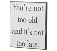 Alipis Simplistic Metal Badge With Motivational Quote You Re Not Too Old It's Not Lapel Pin For Backpack Accessories Party Gifts Encouraging Jewelry