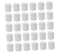 Alipis Tapas De Pasta De Dientes De Plástico a Rosca, Pack 30 Unidades, Tamaño Pequeño, Diseño Abatible, para Tubos De Pasta, Uso Doméstico y Viaje